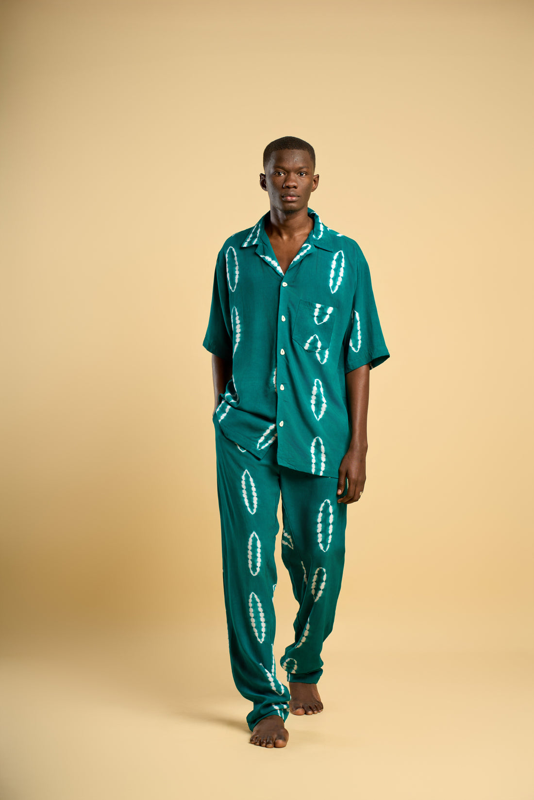 Ensemble Ziggy