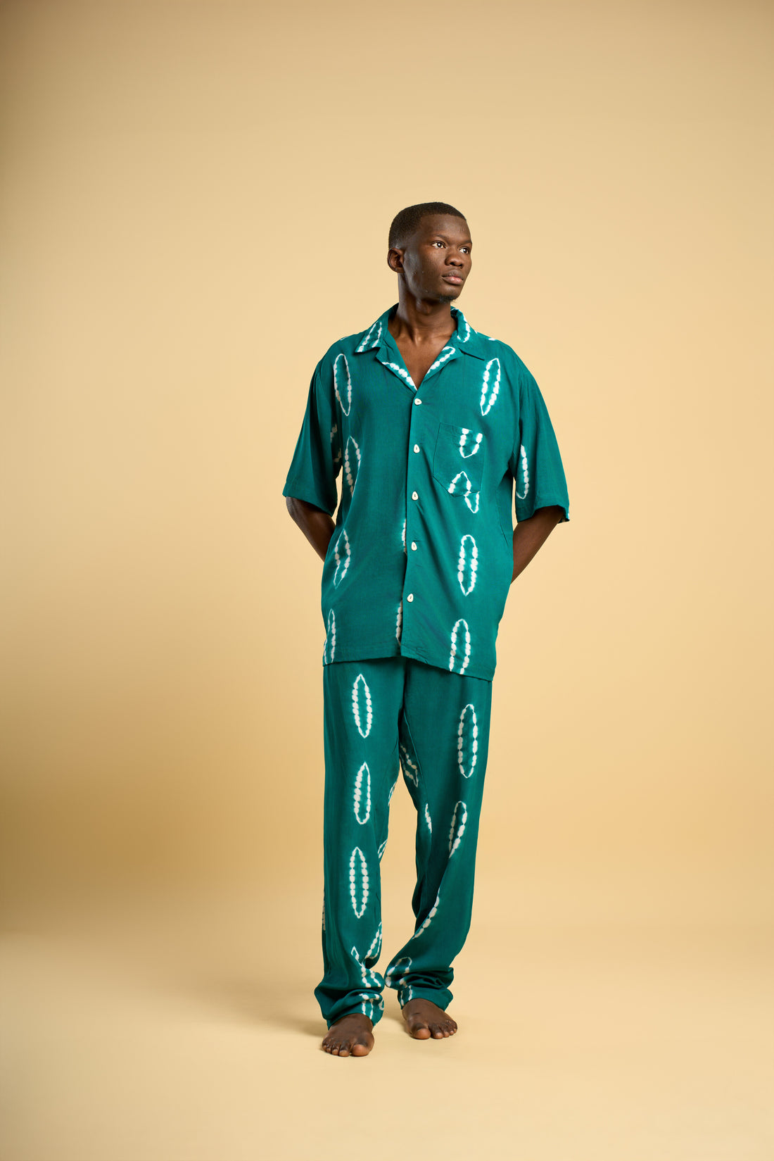 Ensemble Ziggy